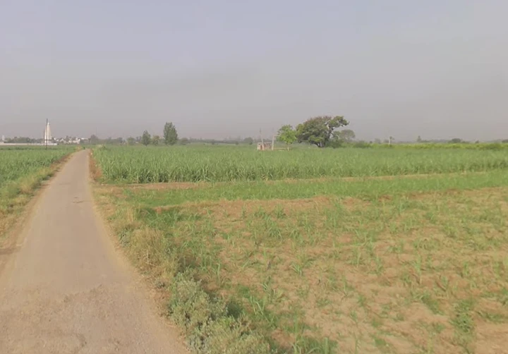 2J5F+GFM, Sindhawali, Sindhawli, Uttar Pradesh 250005, India