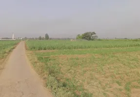 2J5F+GFM, Sindhawali, Sindhawli, Uttar Pradesh 250005, India preview 2