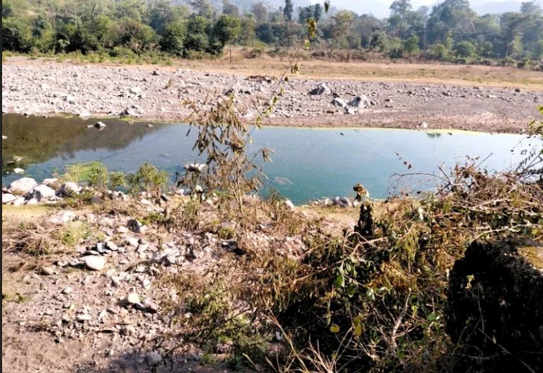 Bargodam, Kalka, Haryana 133302, India