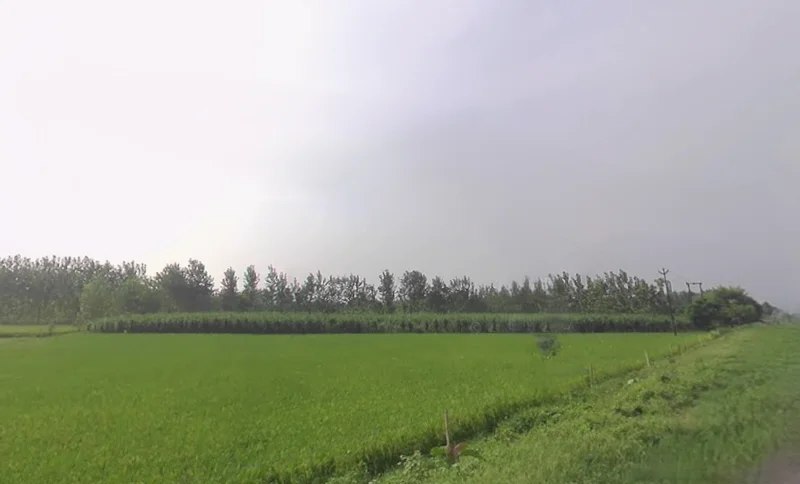 G6R5+R9G, Mirganj, Uttar Pradesh 272175, India preview 2