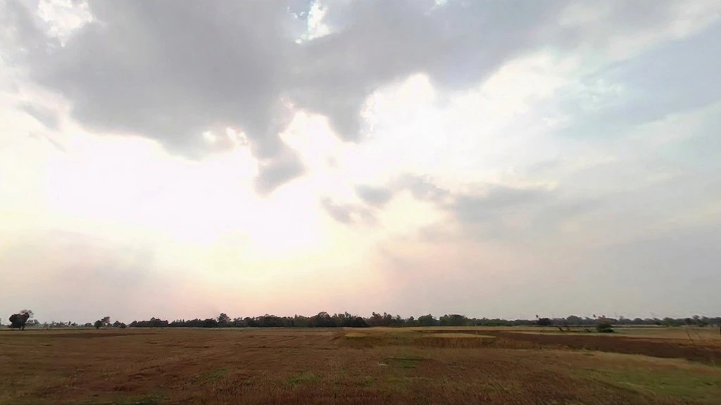 Pothahi, Dharahra, Bihar 804453, India