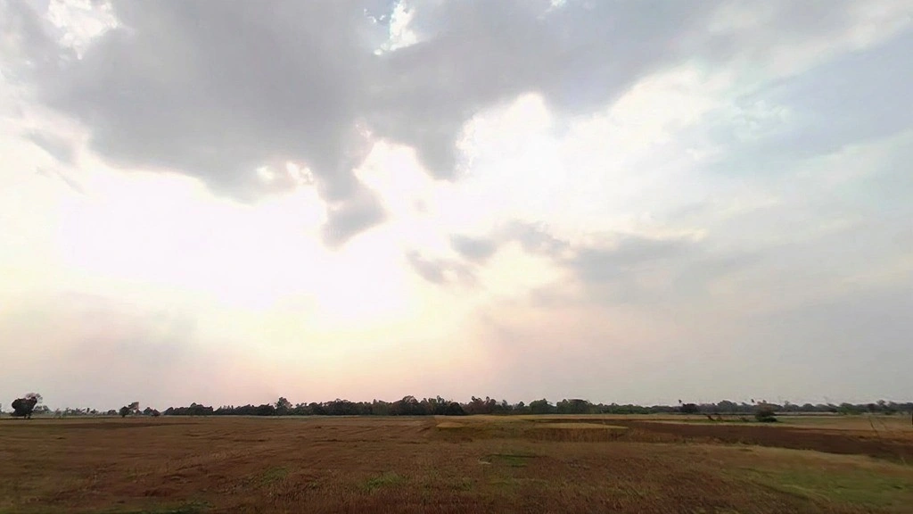 Pothahi, Dharahra, Bihar 804453, India