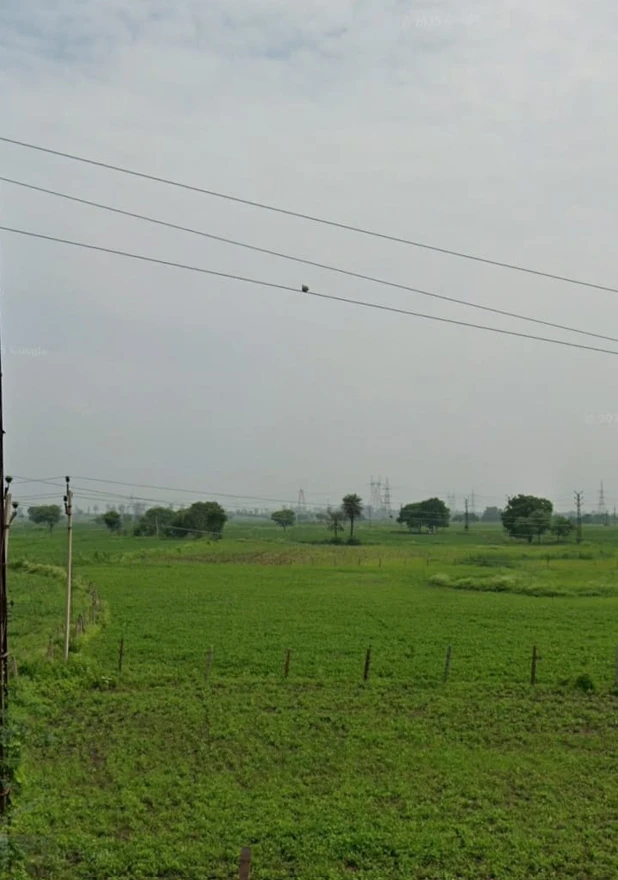 5298+3Q Dahra, Kota, Rajasthan, India