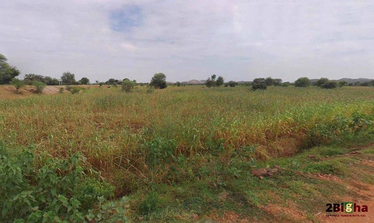 Roorkee, Uttarakhand, India