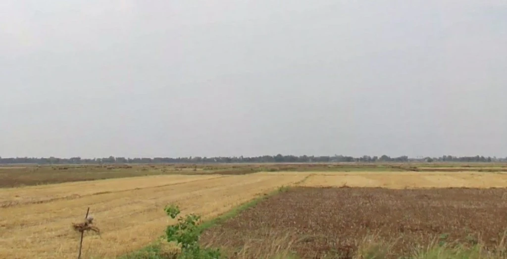 Poawan, Bihar 804452, India