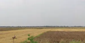 Poawan, Bihar 804452, India preview 2