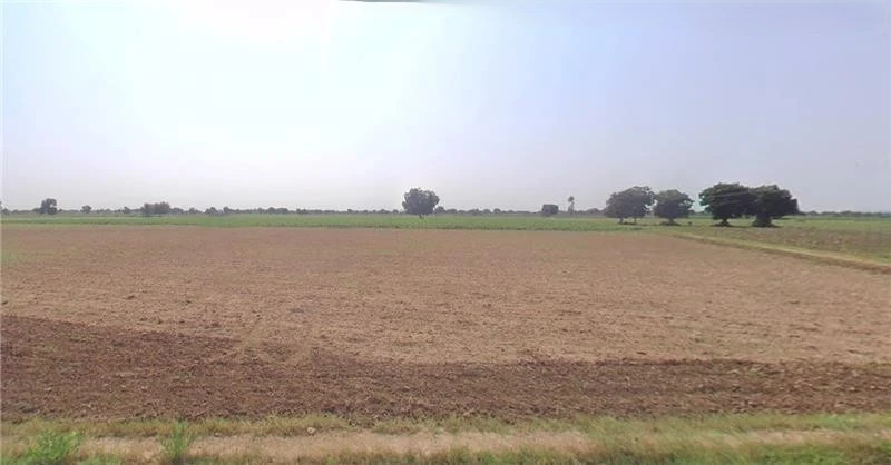 Vitthalapur, Gujarat 382120, India