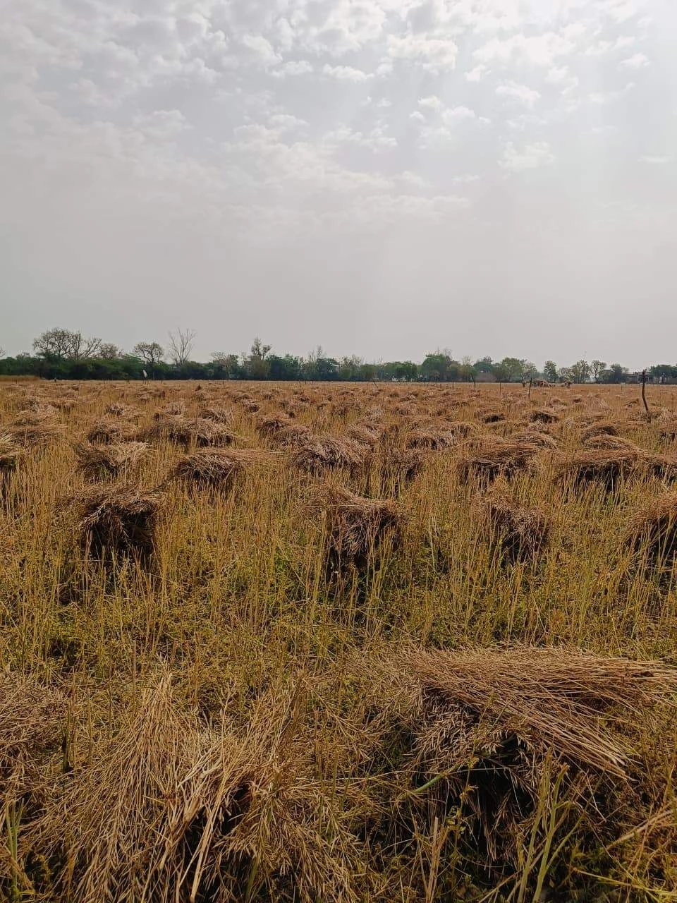 Gharwari, Rajasthan 321201, India