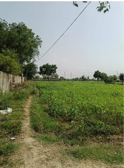 Kamkapar, Balod, Chhattisgarh 491771, India