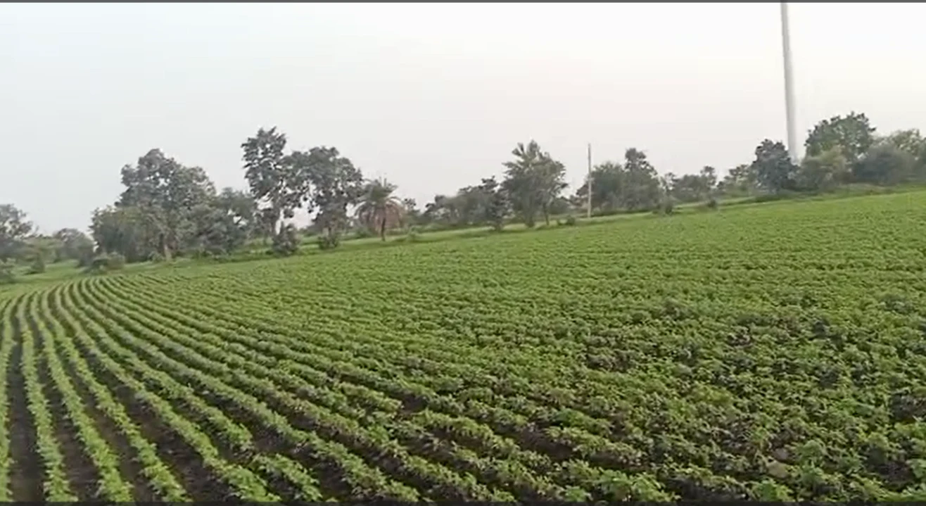 57PW+RG Bardu, Dewas, Madhya Pradesh, India