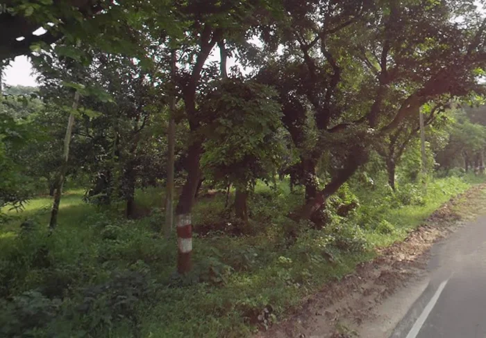 Behat, Uttar Pradesh 247121, India preview 2