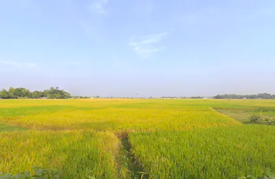 B.R.S. Colony, VCMJ+5H3, Naihati Urban, Bijaynagar, Naihati, Kolkata, West Bengal 743165, India preview 3