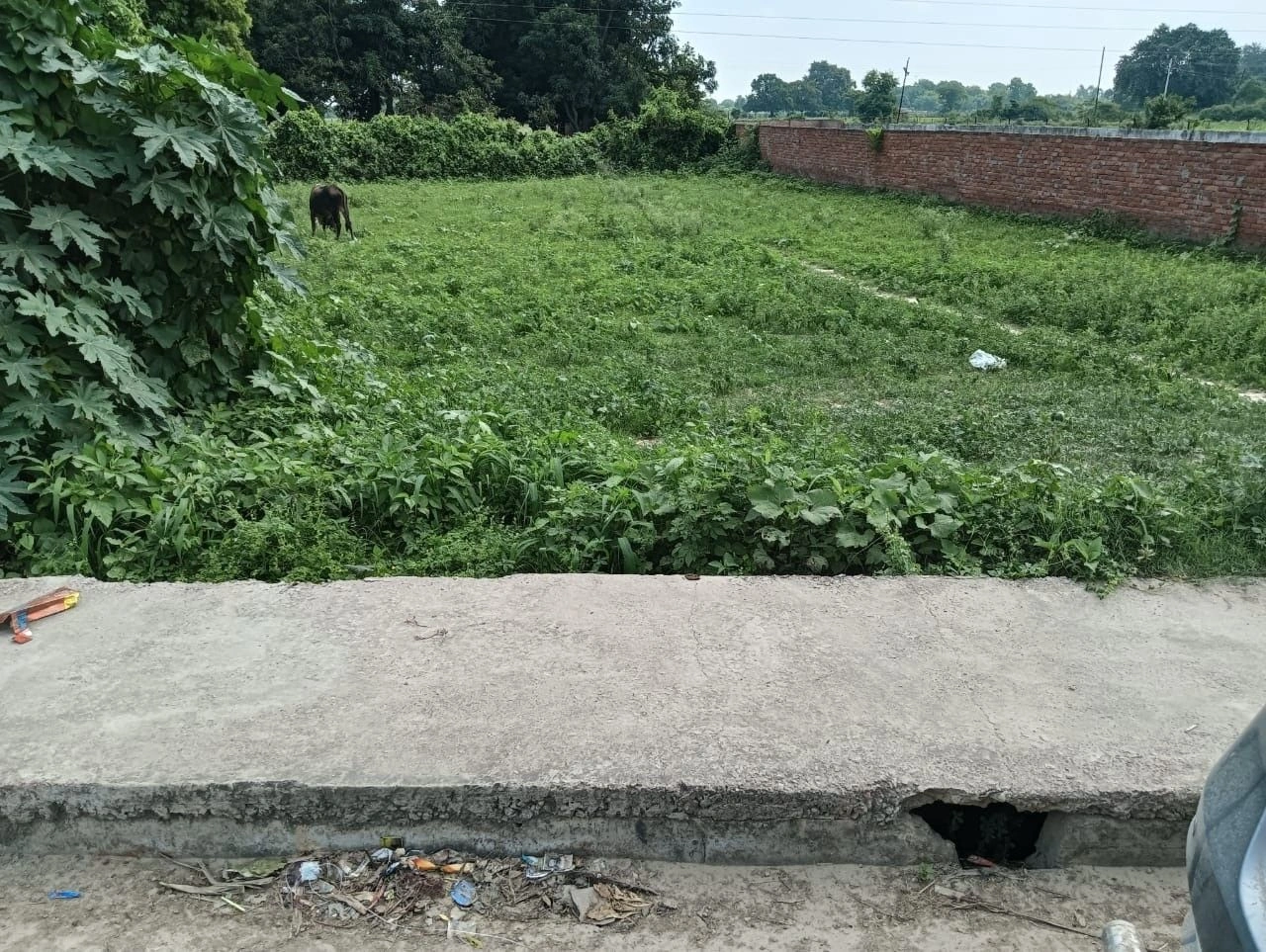 H2HH+MF7, Lucknow, Bhawa Khera, Uttar Pradesh 226302, India