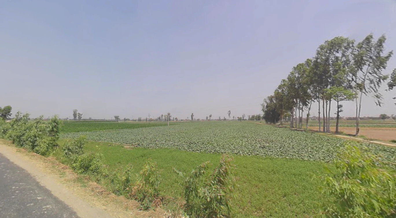 Thakurdwara, Uttar Pradesh 244601, India