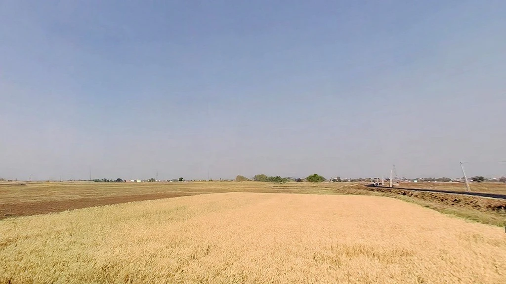 Punpun, Patna, Bihar 804453, India