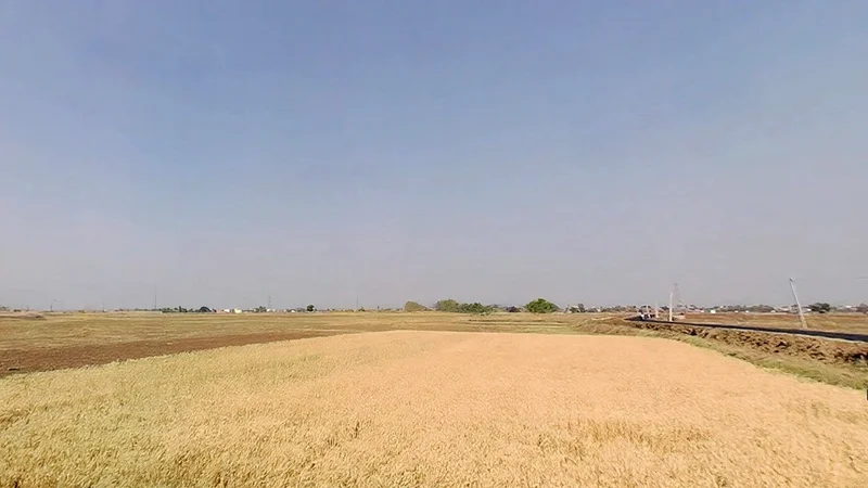 Punpun, Patna, Bihar 804453, India preview 3