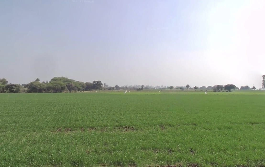 6RP2+GGR, Surasa, Madhya Pradesh 456006, India preview 3