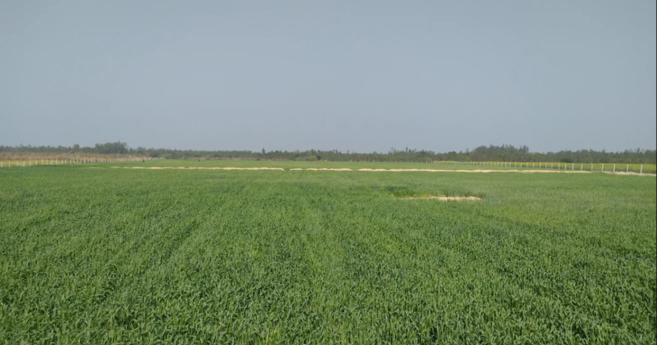Sandila, Uttar Pradesh, India