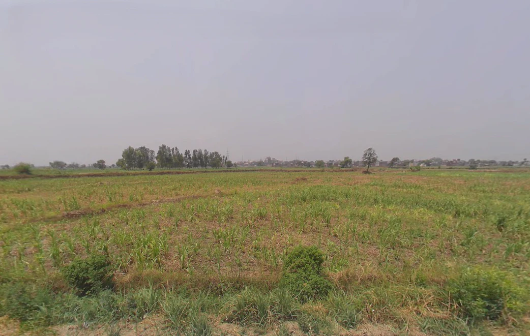 Mohiuddinpur, Uttar Pradesh 250205, India