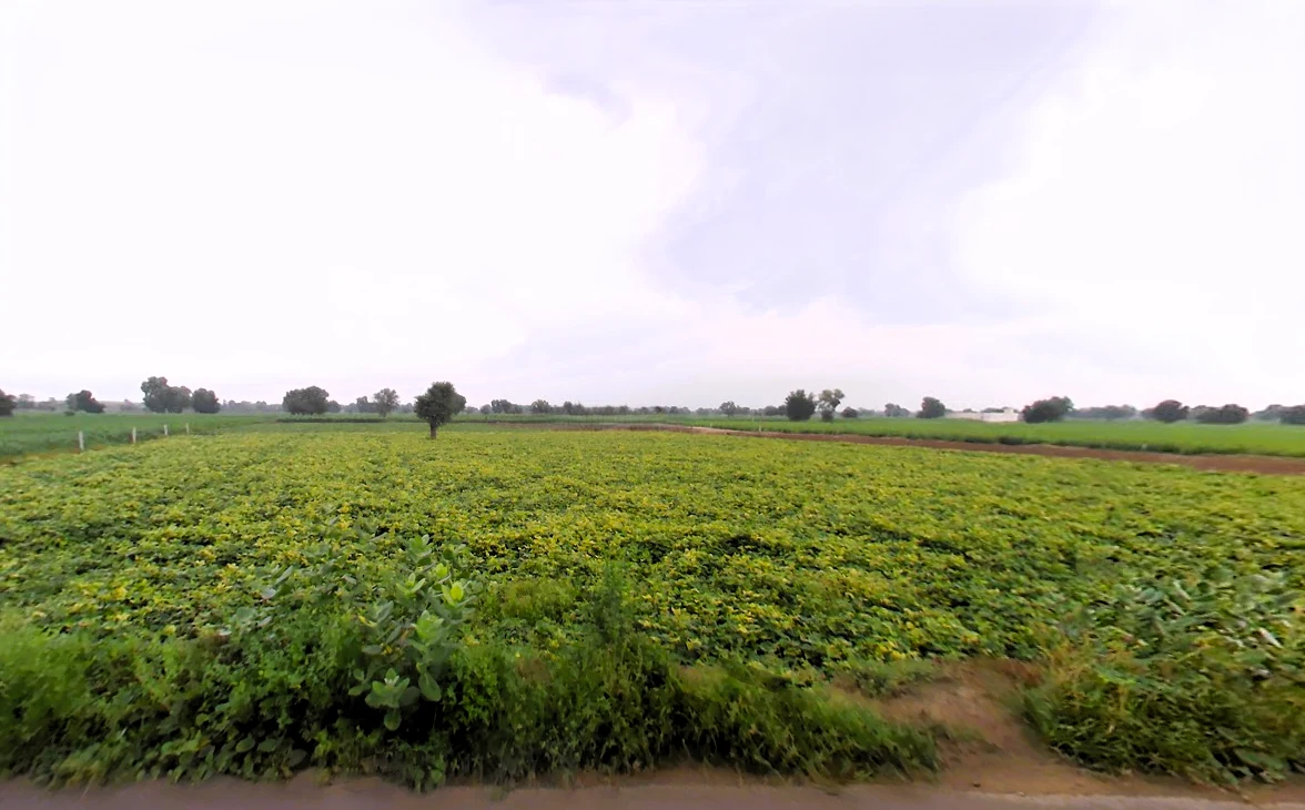 Barwa, Haryana 127045, India preview 2