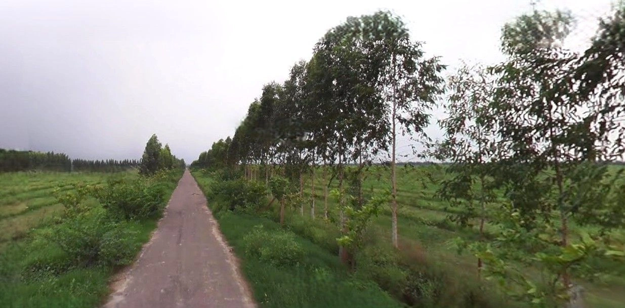 Jauli, Uttar Pradesh 251308, India preview 2