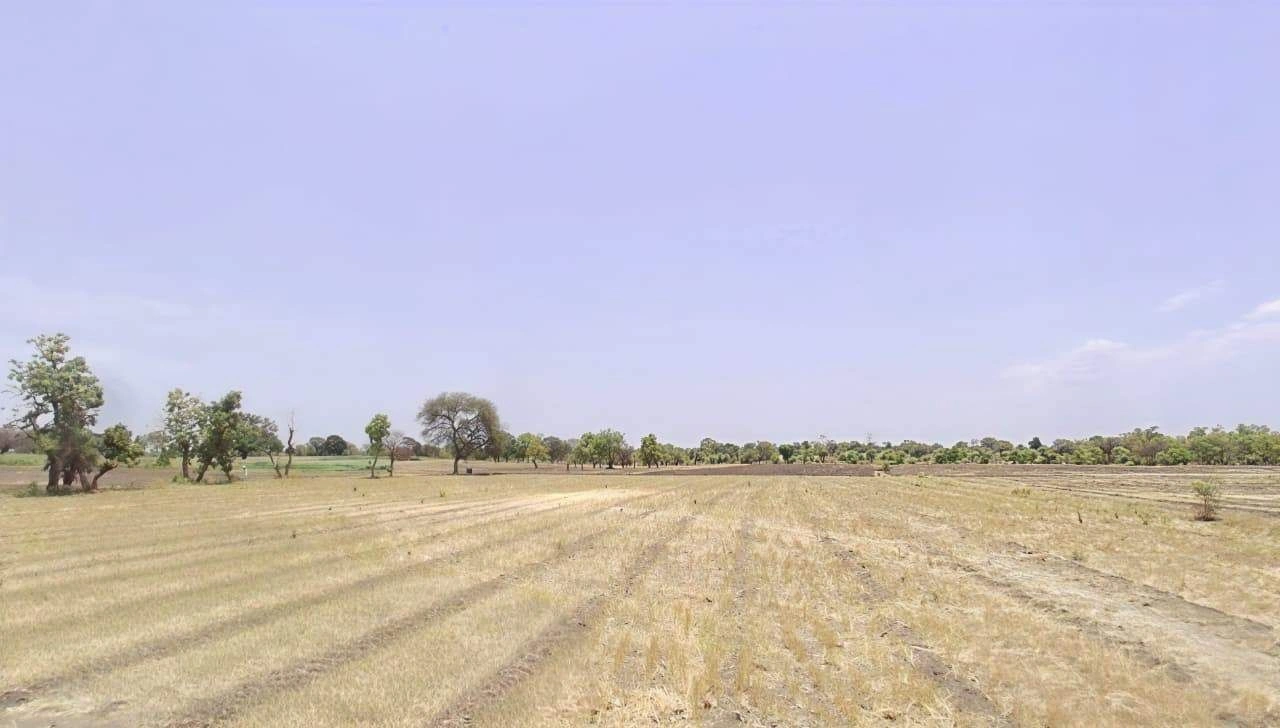 Malendi, Madhya Pradesh 453441, India