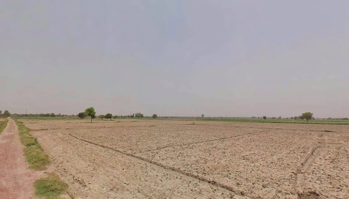 Bhadana, Haryana 131403, India