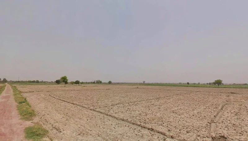 Bhadana, Haryana 131403, India preview 3