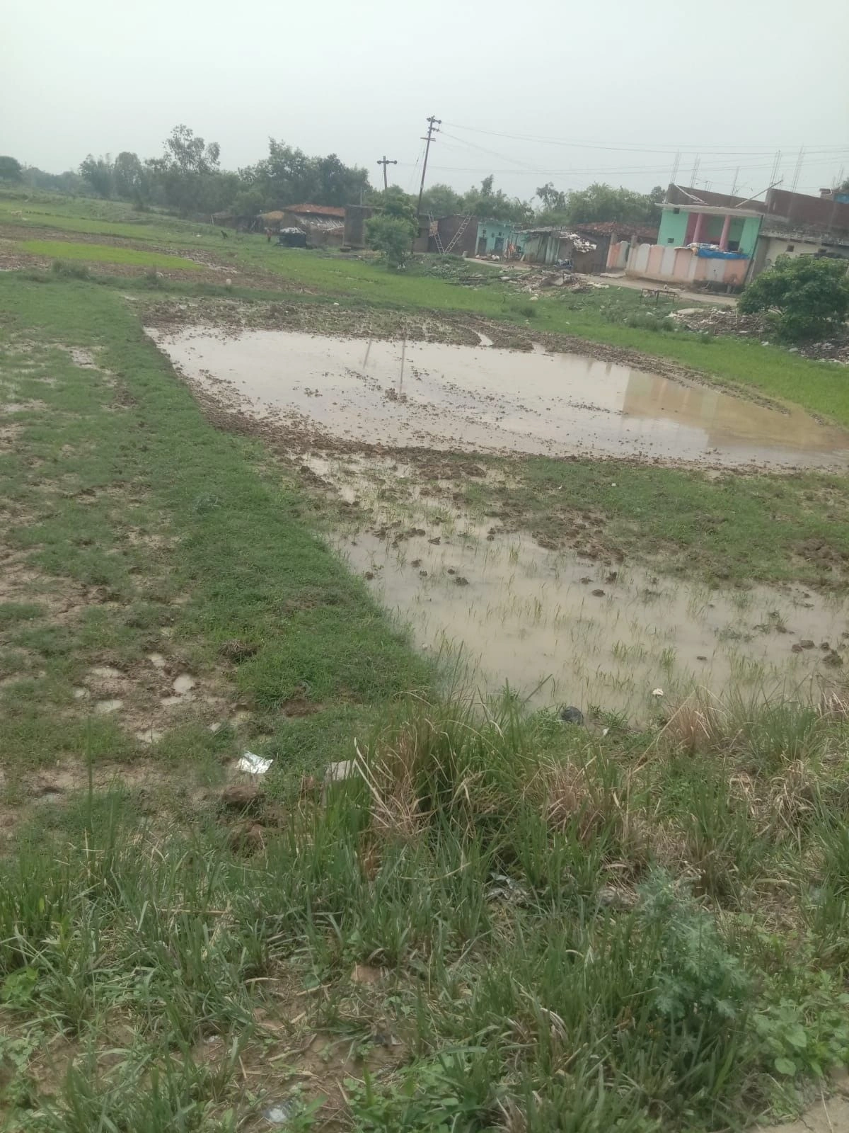 Ghorawal, Sonbhadra, Uttar Pradesh 231210, India