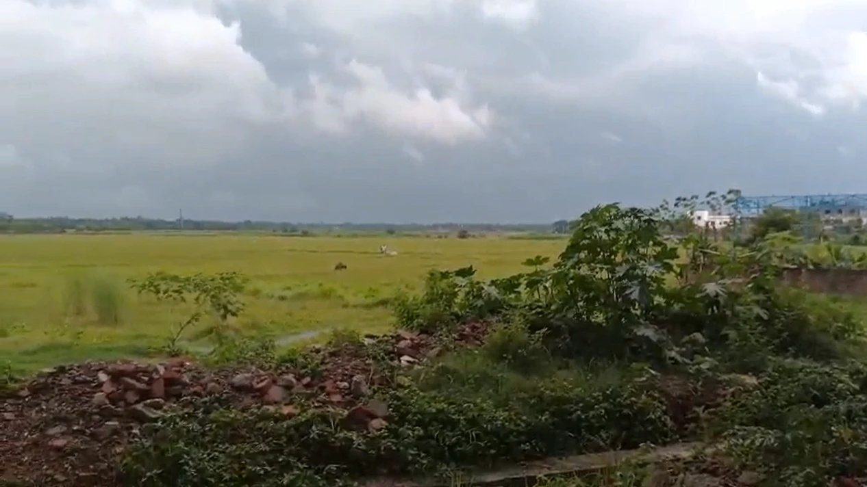 H372+XV8, Panpur, Haridaspur, West Bengal 711401, India