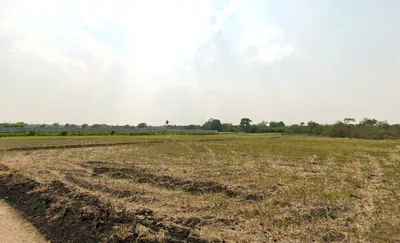 Reddipalle Agrahram, Andhra Pradesh 531219, India preview 3