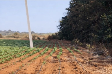 7JR9+7F Doddagollahalli, Karnataka, India preview 3