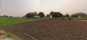 Sri Ganganagar, Rajasthan, India preview 2
