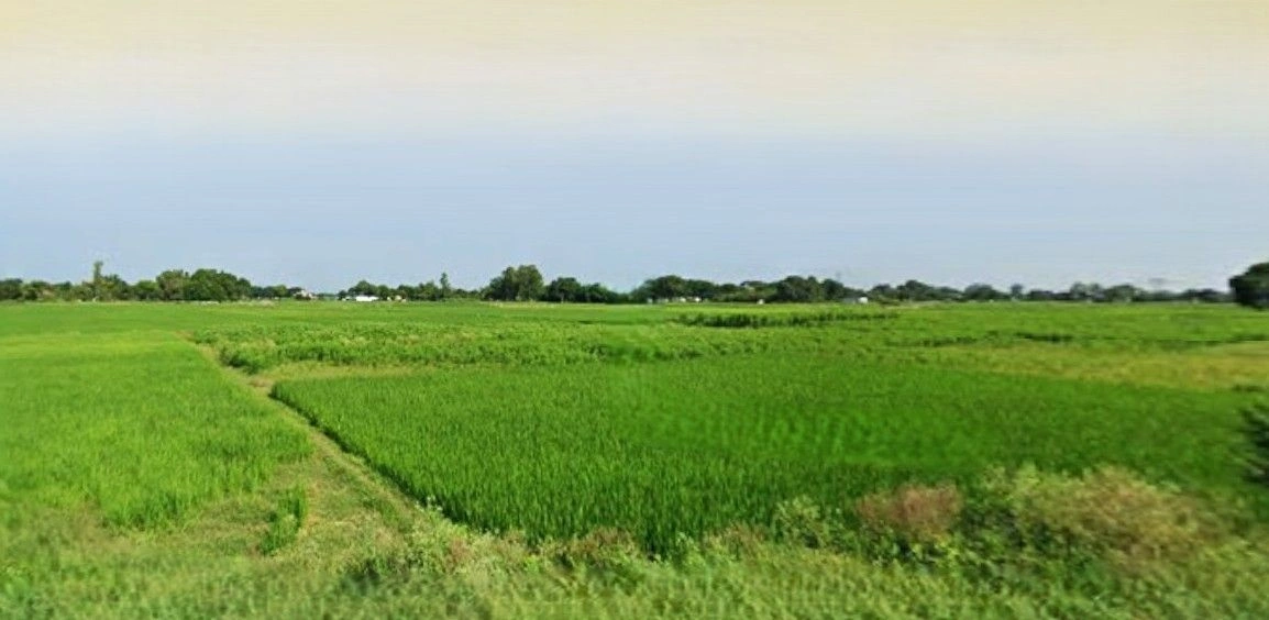 Chhuchhakwas, Haryana 124106, India