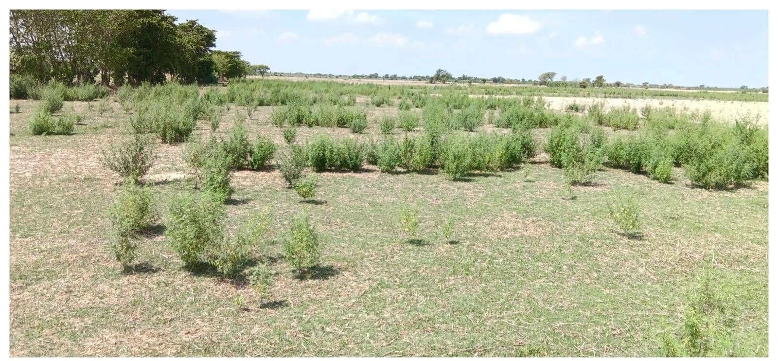 G6RX+7G Kewlapur Urf Takminpur, Uttar Pradesh, India