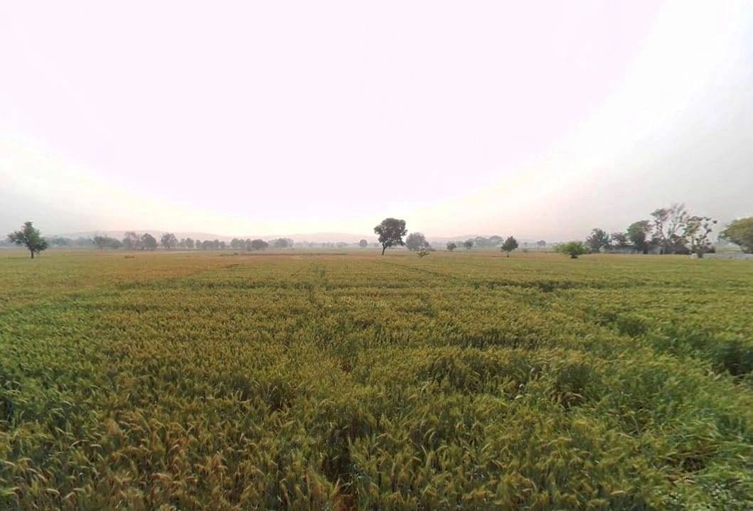 Moosa Khera, Rajasthan 301405, India