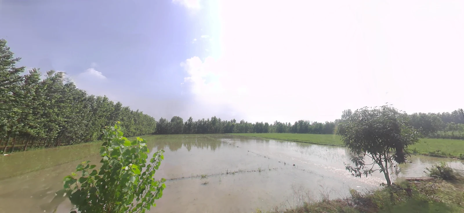 Biharigarh, Uttar Pradesh 247662, India