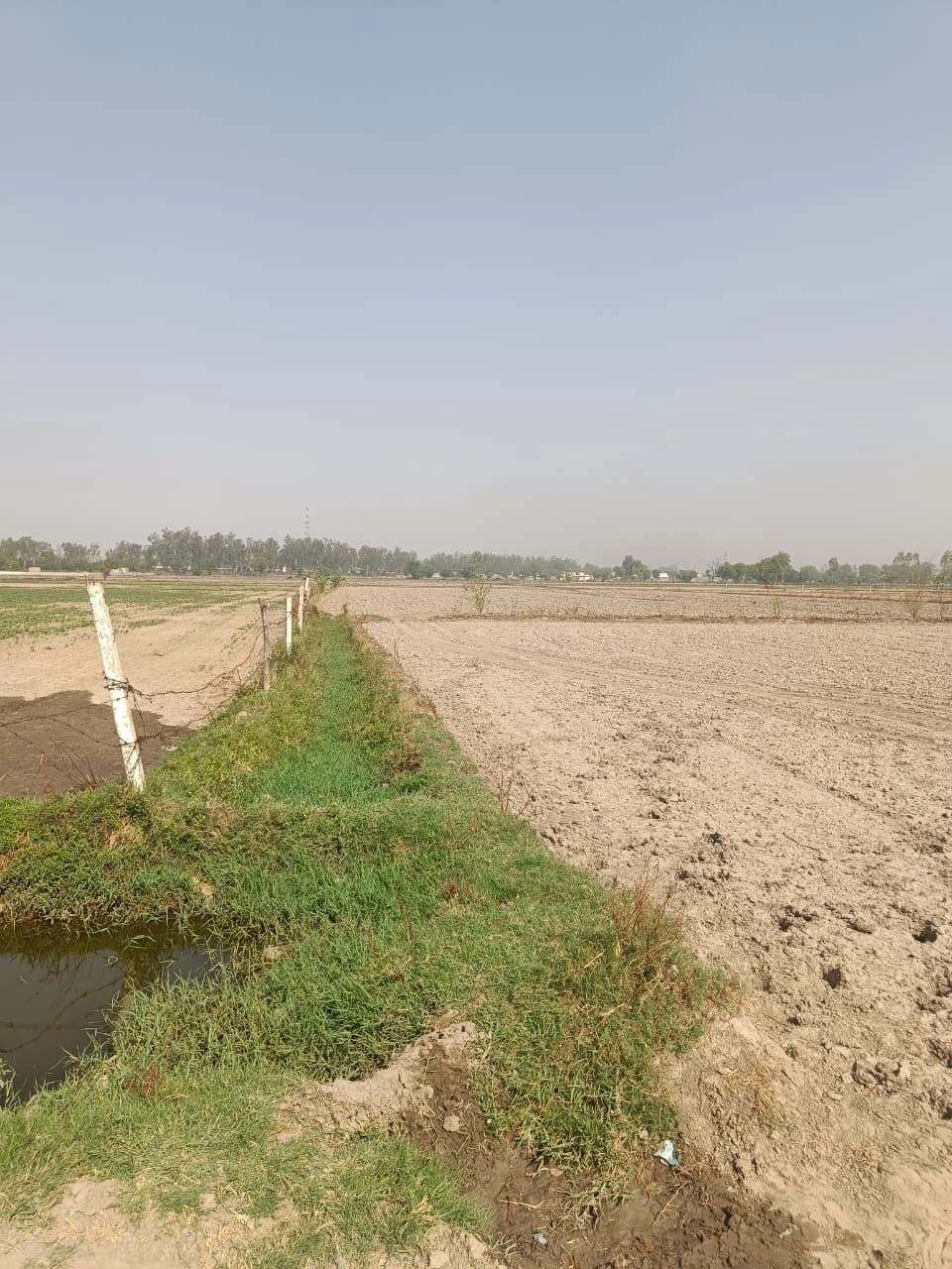 Ajhai Kalan, Uttar Pradesh 281406, India
