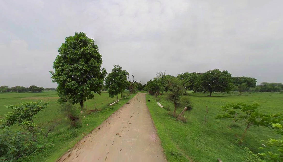 Bijnor, Uttar Pradesh 246701, India
