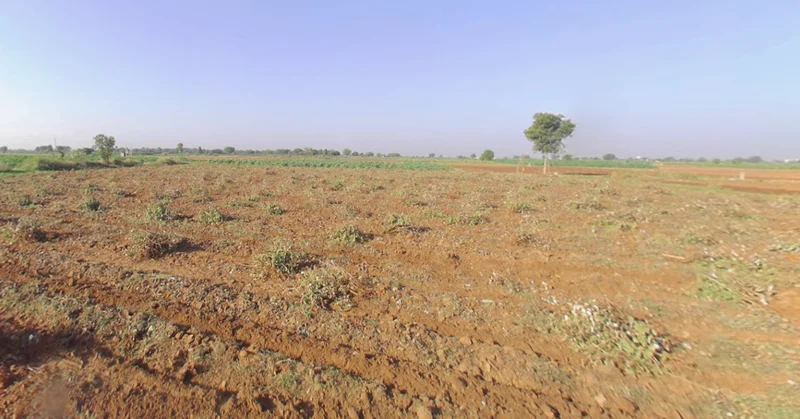 Sokali, Gujarat 382150, India preview 2