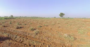 Sokali, Gujarat 382150, India preview 2