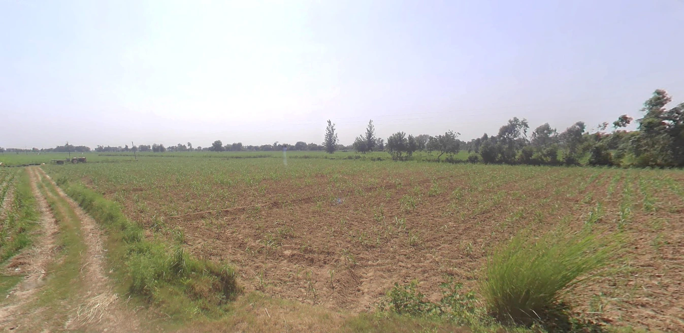 Lalpur, Uttar Pradesh 244924, India