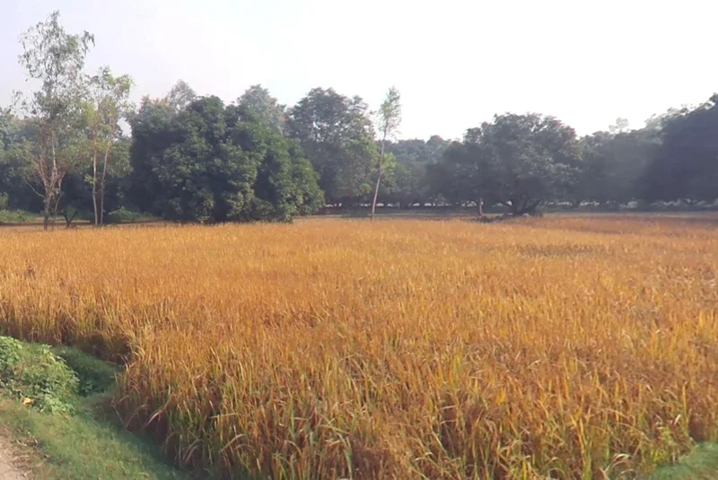 Bhojpur, Madhya Pradesh 464993, India preview 3