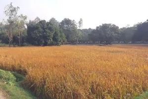 Bhojpur, Madhya Pradesh 464993, India preview 3