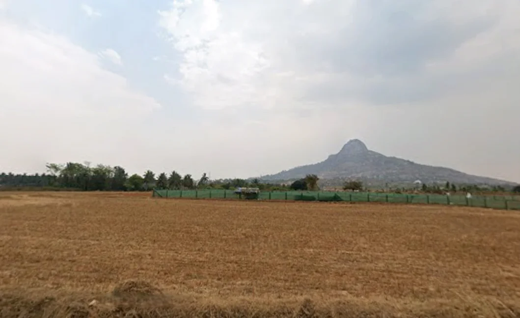 56PQ+HW5, GottikereRd, Bargenahalli, Karnataka 562111, India preview 2