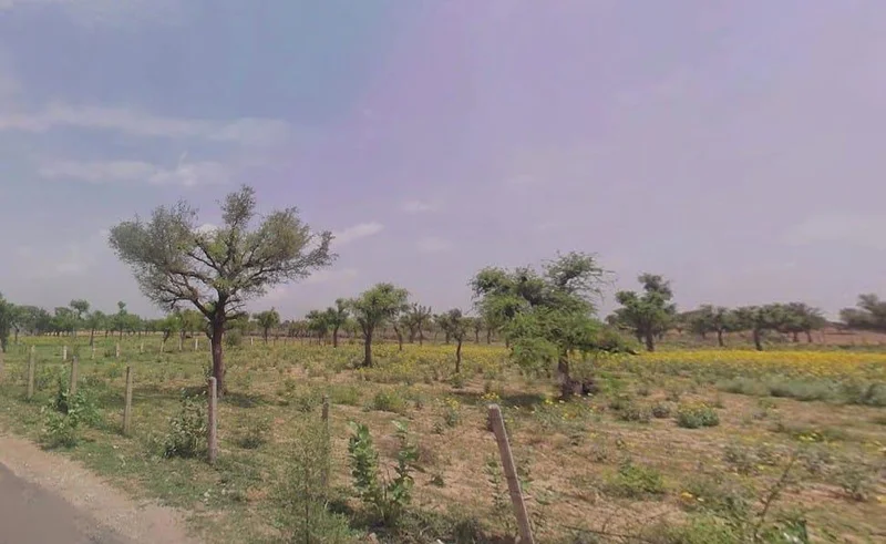 Bamboli, Rajasthan, India preview 3