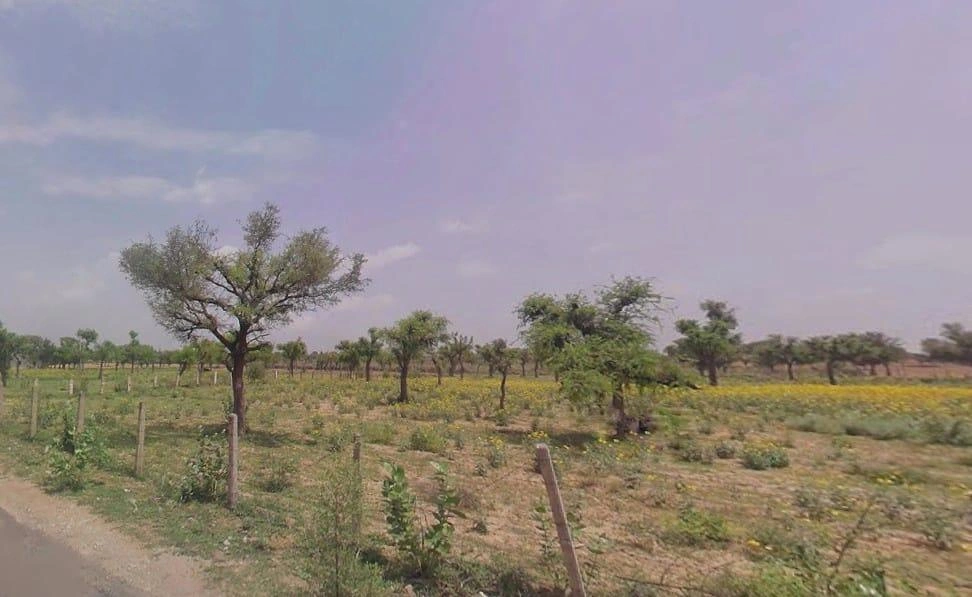 Bamboli, Rajasthan, India