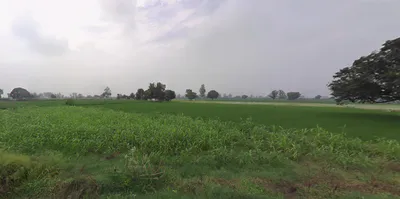 Gharaunda, Haryana 132114, India preview 2