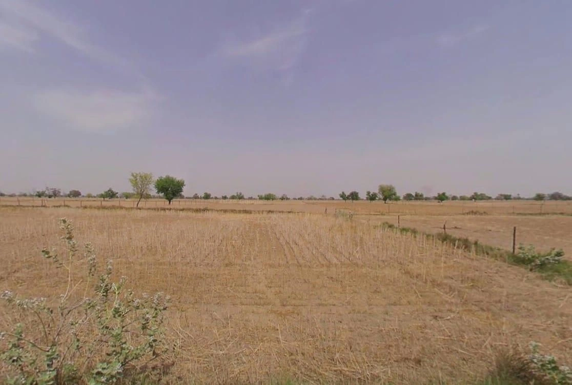 839G+9PJ, RJ SH 44, Kathoomar, Rajasthan 321605, India preview 3