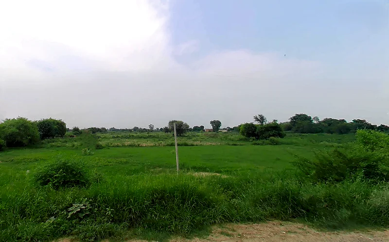 Bagla Rd, Hisar, Haryana, India preview 3